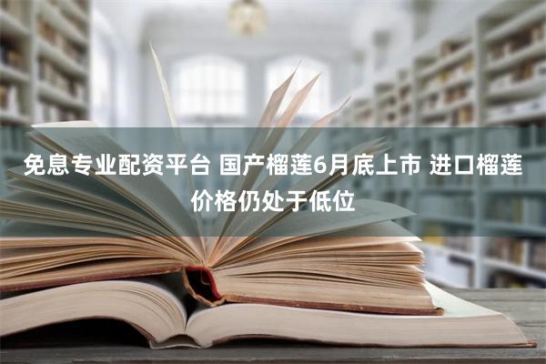 免息专业配资平台 国产榴莲6月底上市 进口榴莲价格仍处于低位