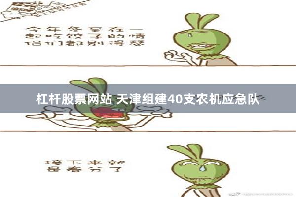 杠杆股票网站 天津组建40支农机应急队