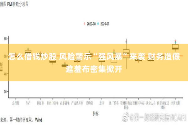 怎么借钱炒股 风险警示“强风暴”来袭 财务造假遮羞布密集掀开