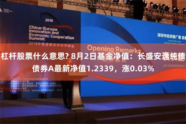 杠杆股票什么意思? 8月2日基金净值：长盛安逸纯债债券A最新净值1.2339，涨0.03%