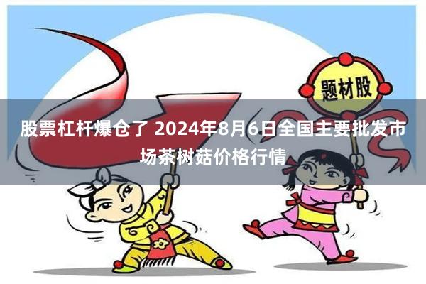 股票杠杆爆仓了 2024年8月6日全国主要批发市场茶树菇价格行情