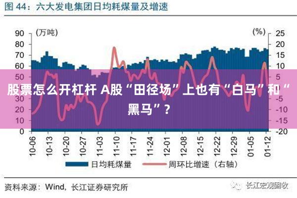 股票怎么开杠杆 A股“田径场”上也有“白马”和“黑马”？