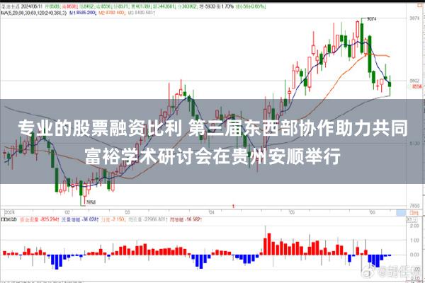 专业的股票融资比利 第三届东西部协作助力共同富裕学术研讨会在贵州安顺举行