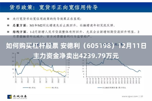 如何购买杠杆股票 安德利（605198）12月11日主力资金净卖出4239.79万元