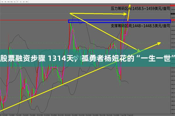 股票融资步骤 1314天，孤勇者杨妞花的“一生一世”